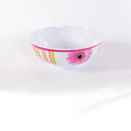 Noodle Soup Bowl